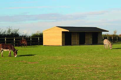 field-shelters-for-horses (4)