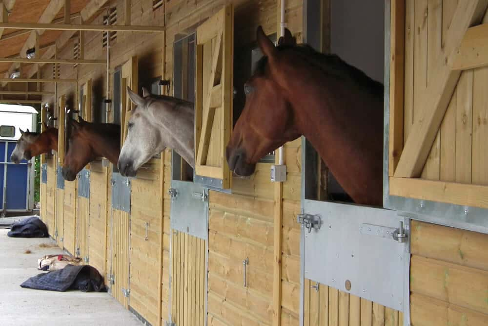 If you are looking for superior equestrian stable blocks or a fully functional livery yard that is complete with a bespoke design and fast, professional installation, National Timber Buildings can help. As a household name in stables, we have four ranges of hand-crafted stables for you to choose from – the Novice Range, National Range, Grand National Range, and Cheltenham Gold Range.