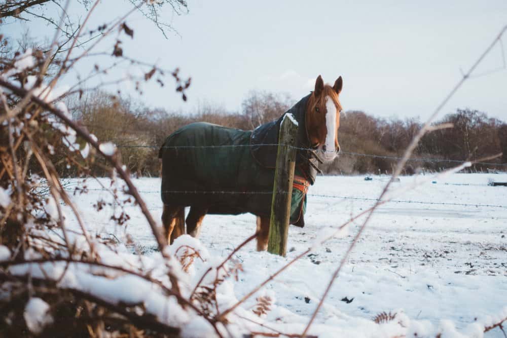 How do I keep my horse warm in winter