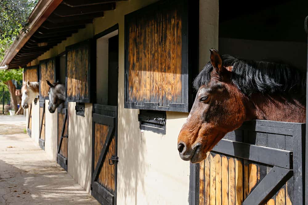 livery stables